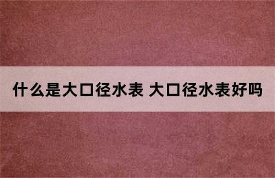 什么是大口径水表 大口径水表好吗